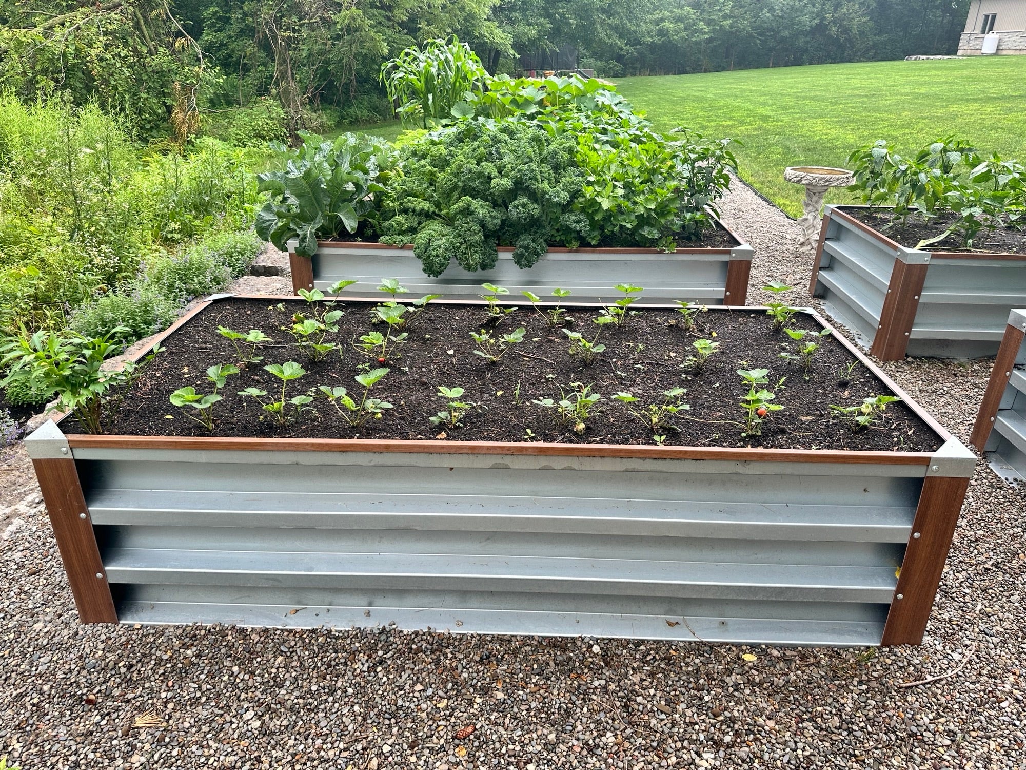 Garden Box - 4FT x 8FT